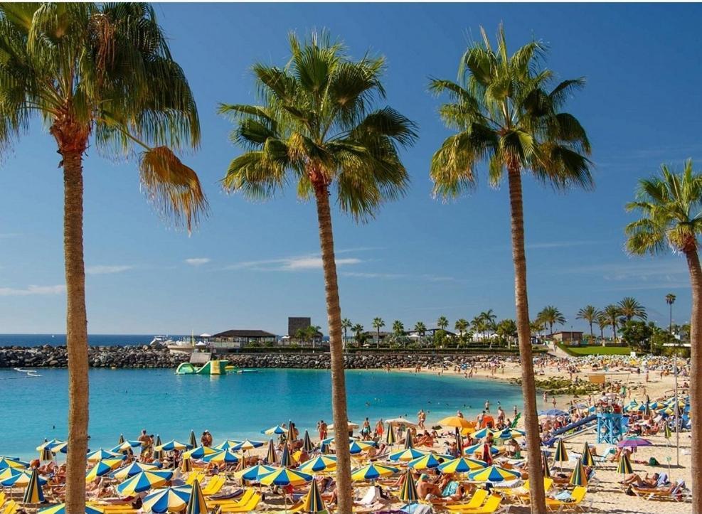 Aeropuerto Gran Canaria Vivienda Vacacional Carrizal Dış mekan fotoğraf